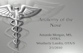 Anatomy of the Nose Amanda Morgan, MS, OTR/L Weatherly Landry, OTA/S 2/1/2010.