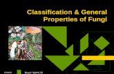 13.04.09 Phase I/ Module VII Dr Ekta, Microbiology 1 Classification & General Properties of Fungi.