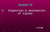 Section 10 2. Digestion & absorption of lipids 1/6/06.