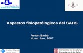 Aspectos fisiopatólogicos del SAHS Ferran Barbé Novembre, 2007.