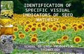 IDENTIFICATION OF SPECIFIC VISIUAL INDICATORS OF SEED MATURITY SURAJ CHHETRI SCHOOL OF CROP PRODUCTION TECHNOLOGY SURANAREE UNIVERSITY OF TECHNOLOGY.
