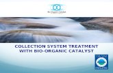 COLLECTION SYSTEM TREATMENT WITH BIO-ORGANIC CATALYST.