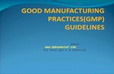 GMP Guidelines