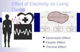 Effect of Electricity on Living Tissue Electrolytic Effect Faradic Effect Thermal Effect.