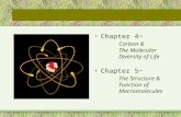 Chapter 4~ Carbon & The Molecular Diversity of Life Chapter 5~ The Structure & Function of Macromolecules.
