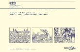 Corps of Engineers Wetlands Delineation Manual