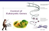 AP Biology 2007-2008 Control of Eukaryotic Genes.