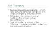 Cell Transport Semipermeable membrane – small, lipid-soluble particles can pass, but large, charged particles cannot Diffusion – net movement of particles.