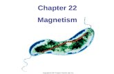 Chapter 22 Magnetism. Permanent bar magnets have opposite poles on each end, called north and south. Like poles repel; opposites attract. If a magnet.