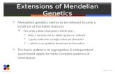 Slide 1 of 23 Extensions of Mendelian Genetics Mendelian genetics seems to be relevant to only a small set of heritable features For only a few characters.