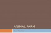 ANIMAL FARM Test Review. Characters For each character, you should know: – Description – Important Actions – Friends/allies or enemies of importance –