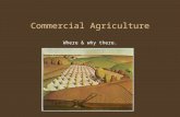 Commercial Agriculture Where & why there.. Commercial Agriculture: Characteristics Food is NOT consumed on farm Food produced is for sale, sometimes thousands.