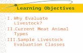 Learning Objectives I.Why Evaluate Livestock? II.Current Meat Animal Types III.Sample Livestock Evaluation Classes.