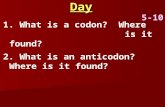 Question of the Day 5-10 1. What is a codon? Where is it found? 2. What is an anticodon? Where is it found?