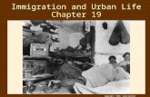 Copyright © 2004 South-Western Immigration and Urban Life Chapter 19.