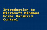 Introduction to Microsoft Windows Forms DataGrid Control.