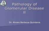 Pathology of Glomerular Disease II Dr. Álvaro Barboza Quintana.