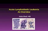 Acute Lymphoblastic Leukemia An Overview Aziza Shad, MD.