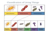 Classification of Living Things. Why do we classify things? Supermarket aisles Libraries Classes Teams/sports Members of a family Roads Cities Money.