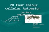 1 2D Four Colour cellular Automaton (Surface explorations) NKS-2006 Dr Robert H Barbour Unitec New Zealand.