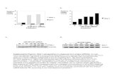 Relative mRNA Levels Stat 1 WT1 5nM WT1 siRNAs Treatment Stat 1 Relative mRNA Levels nM TLR3 siRNA Treatment Supplemental Figure1. Stat 1 upregulation.