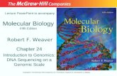 Molecular Biology Fifth Edition Chapter 24 Introduction to Genomics: DNA Sequencing on a Genomic Scale Lecture PowerPoint to accompany Robert F. Weaver.