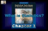 1 - 1 Copyright © 2004 by The McGraw-Hill Companies, Inc. All rights reserved. What is Statistics?