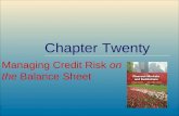 ©2009, The McGraw-Hill Companies, All Rights Reserved 8-1 McGraw-Hill/Irwin Chapter Twenty Managing Credit Risk on the Balance Sheet.