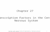 1 Chapter 27 Transcription Factors in the Central Nervous System Copyright © 2012, American Society for Neurochemistry. Published by Elsevier Inc. All.