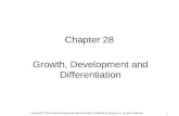 1 Chapter 28 Growth, Development and Differentiation Copyright © 2012, American Society for Neurochemistry. Published by Elsevier Inc. All rights reserved.