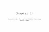 Chapter 14 Companion site for Light and Video Microscopy Author: Wayne.
