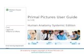 Ovid Training Department 2011 Primal Pictures User Guide (v.1.0) 3D anatomy images copyright of Primal Pictures Ltd  Human Anatomy.