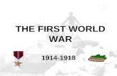 THE FIRST WORLD WAR 1914-1918. CAUSES OF THE WAR Historians have traditionally cited four long-term causes of the First World War NATIONALISM – a devotion.