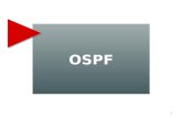 OSPF 1. Today's Talk Introduction Distance Vector Protocol Link State Protocol OSPF operation Neighbor & Adjacency OSPF in broadcast networks 2.