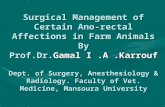 Surgical Management of Certain Ano-rectal Affections in Farm Animals By Prof.Dr.Gamal I.A.Karrouf Dept. of Surgery, Anesthesiology & Radiology. Faculty.