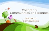 Chapter 3 Communities and Biomes Section 1 Communities.