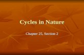 Cycles in Nature Chapter 25, Section 2. Cycles of Matter The biosphere contains a fixed amount of water, carbon, nitrogen, oxygen, and other materials.