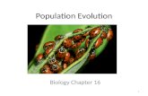 Population Evolution Biology Chapter 16 1. Genetic Variation Populations always show variation in traits – no two individuals are EXACTLY the same Variations.