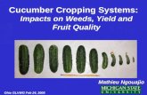 Cucumber Cropping Systems: Impacts on Weeds, Yield and Fruit Quality Ohio GLVWG Feb 24, 2005 Mathieu Ngouajio.