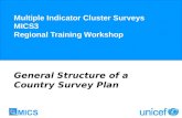 Multiple Indicator Cluster Surveys MICS3 Regional Training Workshop General Structure of a Country Survey Plan.
