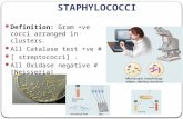 Staphylococci 2011