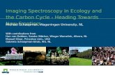 Imaging Spectroscopy in Ecology and the Carbon Cycle - Heading Towards New Frontiers Michael Schaepman, Wageningen University, NL With contributions from.