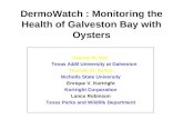 DermoWatch : Monitoring the Health of Galveston Bay with Oysters Sammy M. Ray Texas A&M University at Galveston Thomas M. Soniat Nicholls State University.