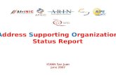 Address Supporting Organization Status Report ICANN San Juan June 2007.