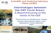Interlinkages between the GEF Focal Areas: A Report Focusing on the needs of the GEF Scientific and Technical Advisory Panel (STAP) * Focal Areas are: