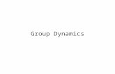 Group Dyanamics