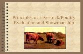Principles of Livestock/Poultry Evaluation and Showmanship.
