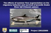 The effects of summer flow augmentation on the migratory behavior and survival of juvenile Snake River fall Chinook salmon Project 199102900.