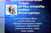 Confederated Tribes of the Umatilla Indian Reservation Umatilla River Basin Anadromous Fish Habitat Enhancement Project Project No. 1987-100-01 Presented.