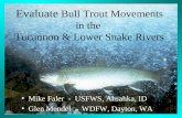 Mike Faler - USFWS, Ahsahka, ID Glen Mendel - WDFW, Dayton, WA Evaluate Bull Trout Movements in the Tucannon & Lower Snake Rivers.